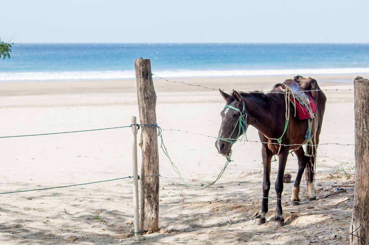 Ola Verde Hotel Popoyo Salinas エクステリア 写真